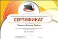 Участник сетевого профессионального педагогического сообщества "NETFOLIO" с 2013 года